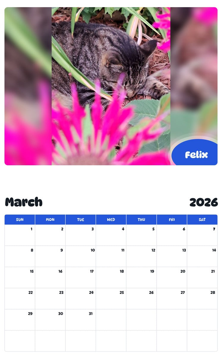 November 2025 - October 2026 Felix - Pawidols Pet Calendar