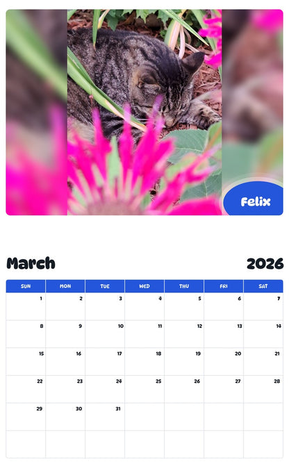 November 2025 - October 2026 Felix - Pawidols Pet Calendar