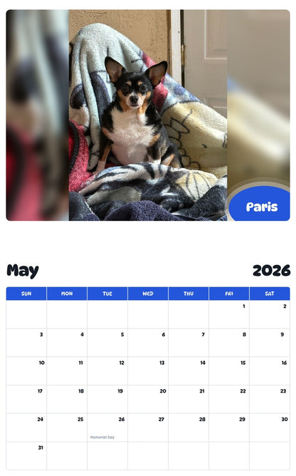 2026 - 2027 Paris - Pawidols Pet Calendar