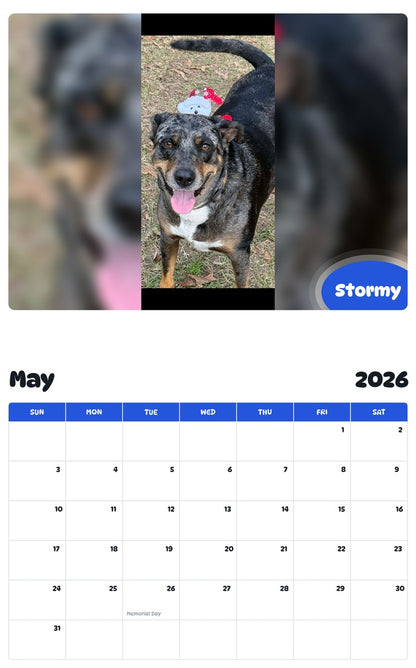 2026 - 2027 Stormy - Pawidols Pet Calendar