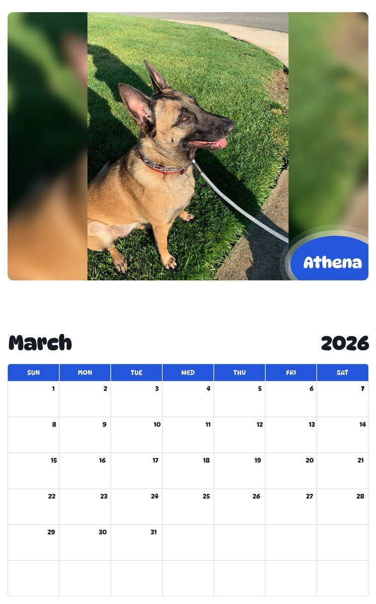 November 2025 - October 2026 Athena - Pawidols Pet Calendar
