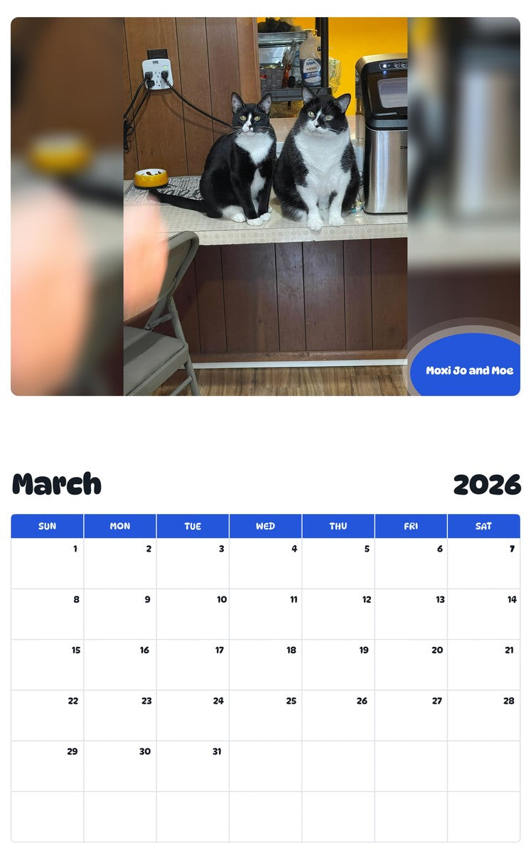 November 2025 - October 2026 Moxi Jo and Moe - Pawidols Pet Calendar