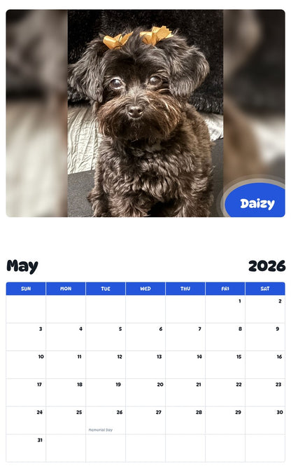 2026 - 2027 Daizy - Pawidols Pet Calendar