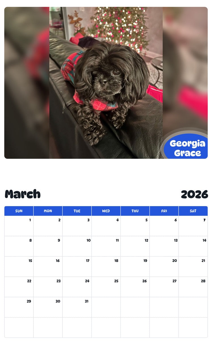 November 2025 - October 2026 Georgia Grace - Pawidols Pet Calendar