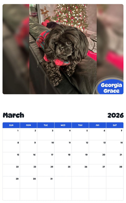 November 2025 - October 2026 Georgia Grace - Pawidols Pet Calendar