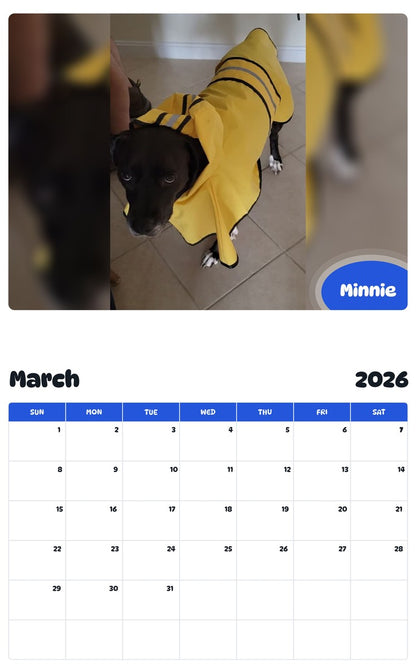 November 2025 - October 2026 Minnie - Pawidols Pet Calendar