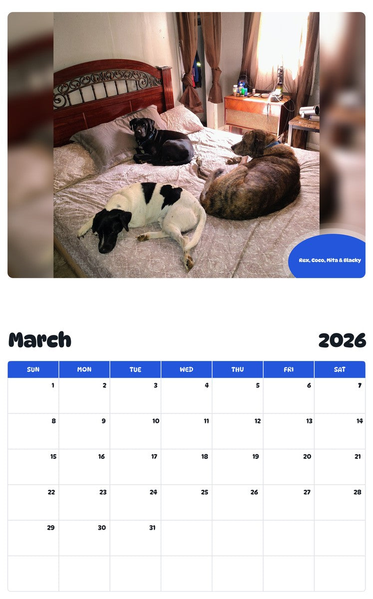 November 2025 - October 2026 Rex, Coco, Mita & Blacky - Pawidols Pet Calendar