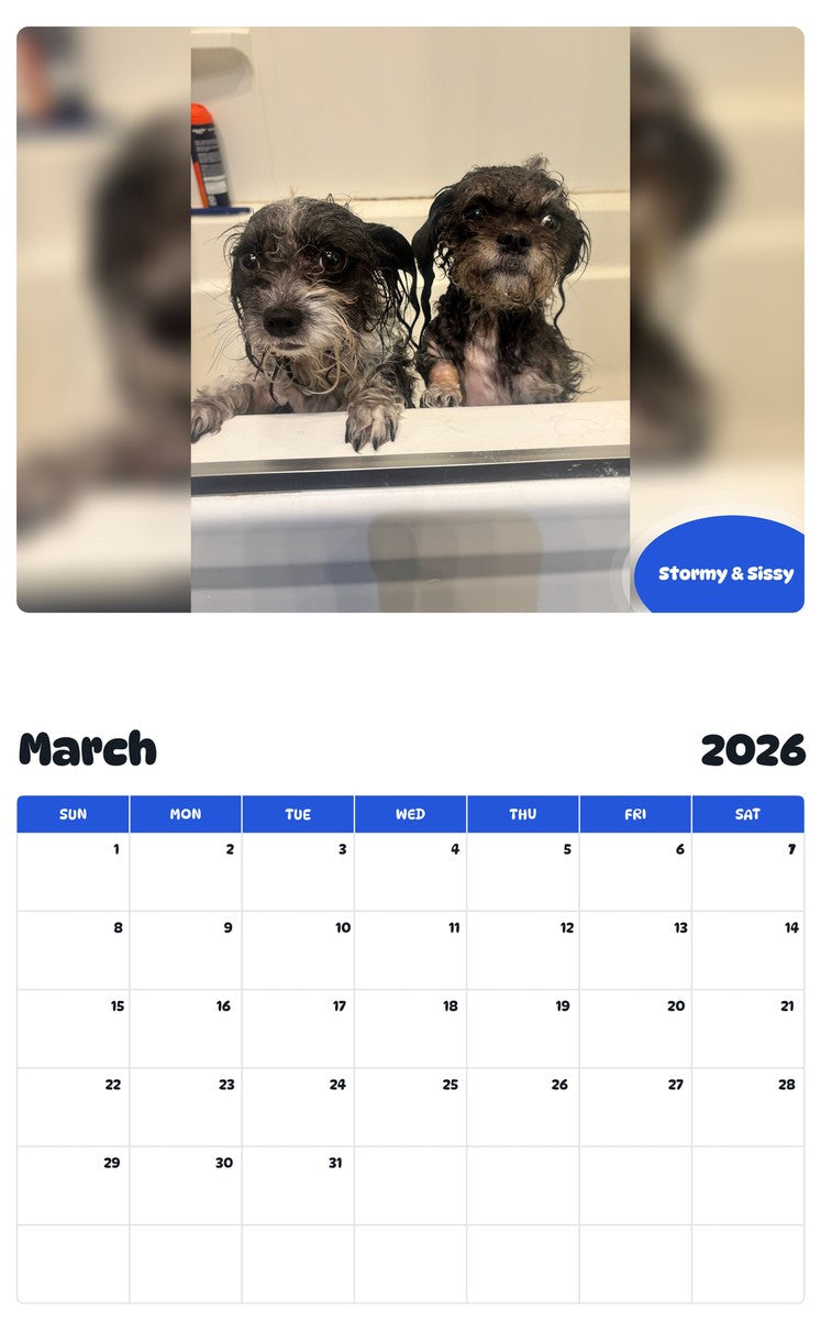 November 2025 - October 2026 Stormy & Sissy - Pawidols Pet Calendar