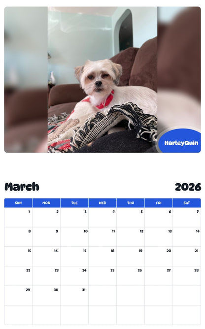 November 2025 - October 2026 HarleyQuin - Pawidols Pet Calendar