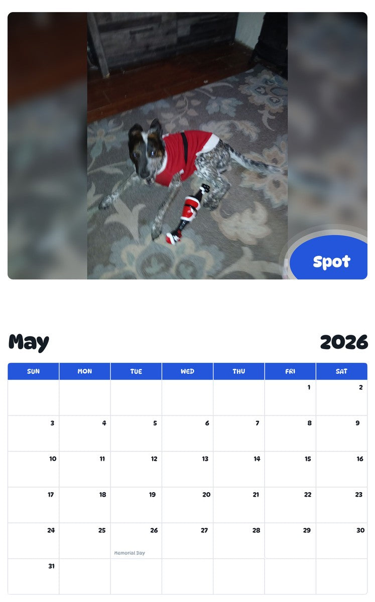 2026 - 2027 Spot - Pawidols Pet Calendar