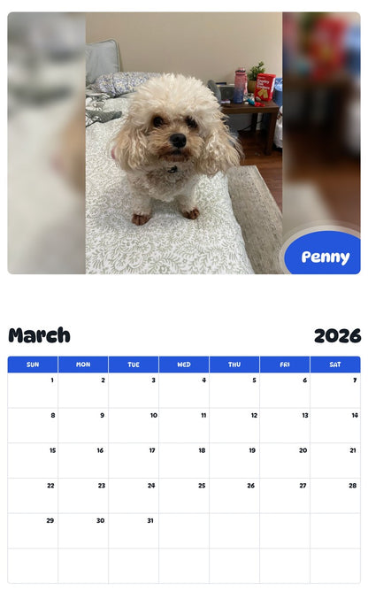 November 2025 - October 2026 Penny - Pawidols Pet Calendar