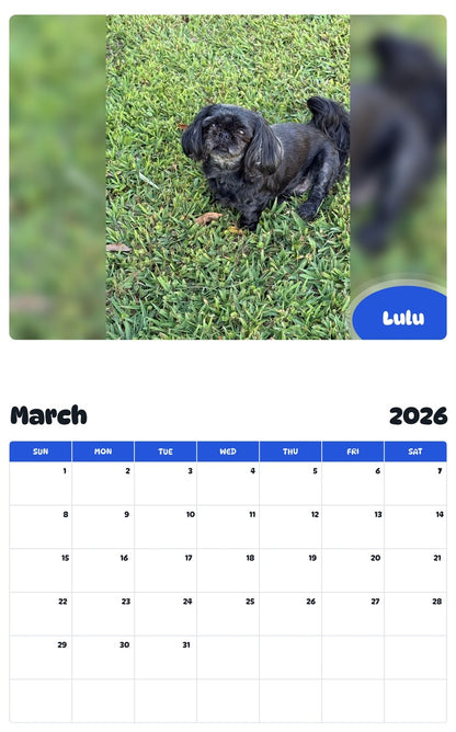 November 2025 - October 2026 Lulu - Pawidols Pet Calendar
