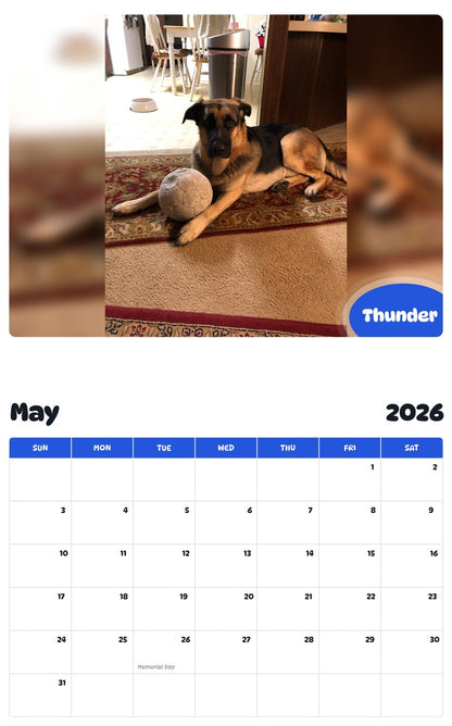 2026 - 2027 Thunder - Pawidols Pet Calendar