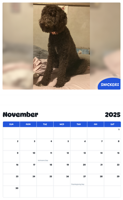 July 2025 - June 2026 Snickers - Pawidols Pet Calendar