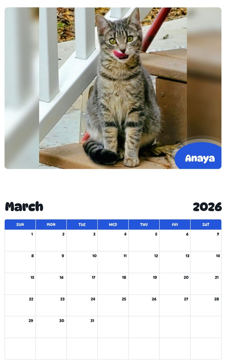 November 2025 - October 2026 Anaya - Pawidols Pet Calendar