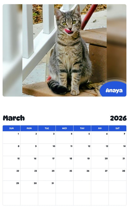November 2025 - October 2026 Anaya - Pawidols Pet Calendar