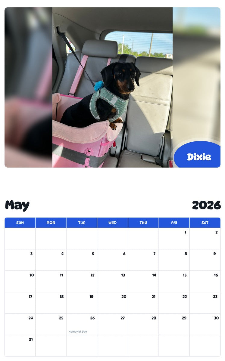 2026 - 2027 Dixie - Pawidols Pet Calendar