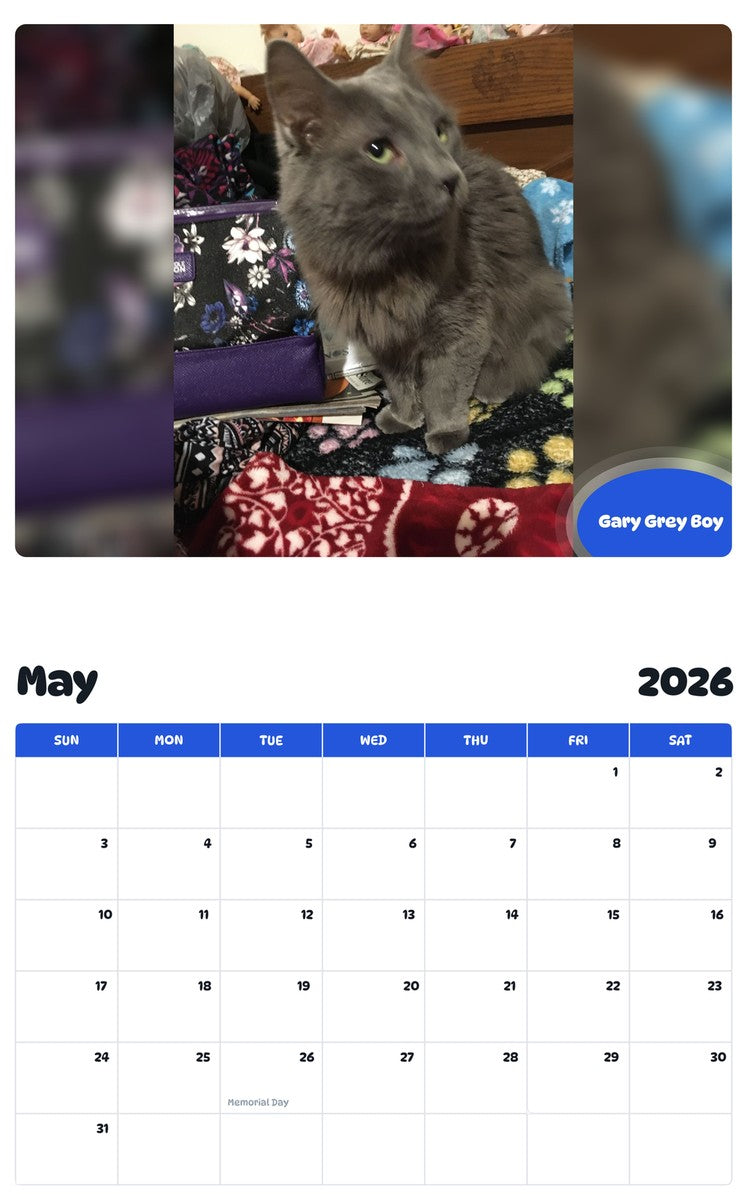 2026 - 2027 Gary Grey Boy - Pawidols Pet Calendar