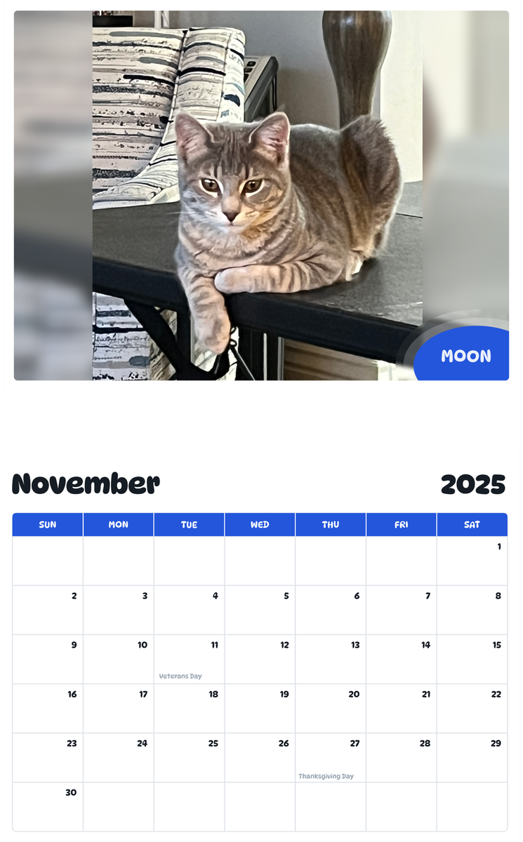 July 2025 - June 2026 Moon - Pawidols Pet Calendar