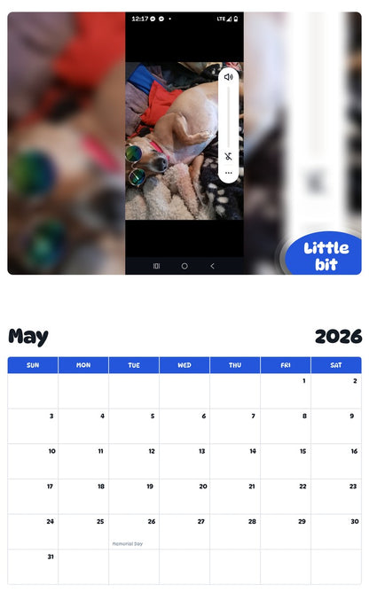 2026 - 2027 Little bit - Pawidols Pet Calendar