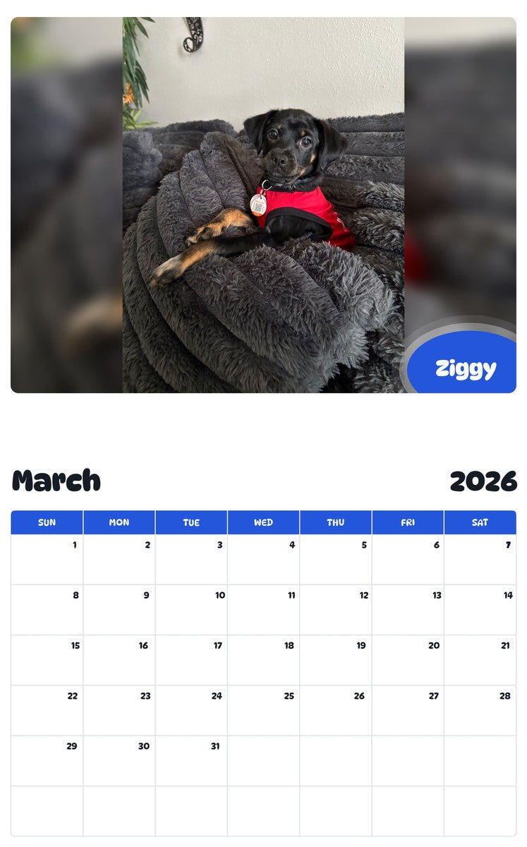 November 2025 - October 2026 Ziggy - Pawidols Pet Calendar