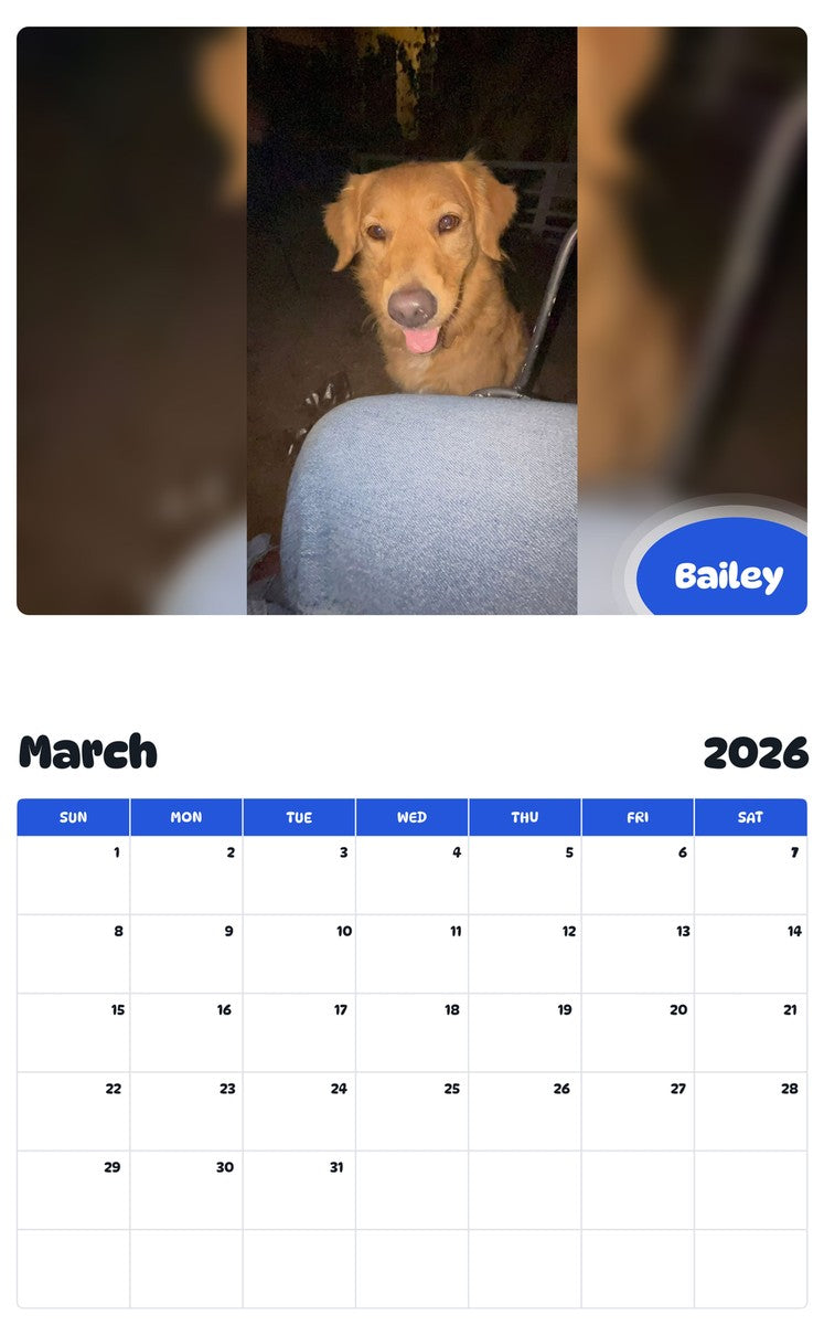 November 2025 - October 2026 Bailey - Pawidols Pet Calendar