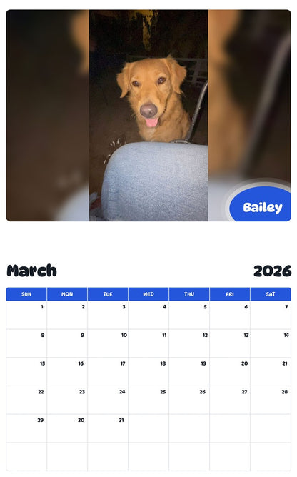 November 2025 - October 2026 Bailey - Pawidols Pet Calendar