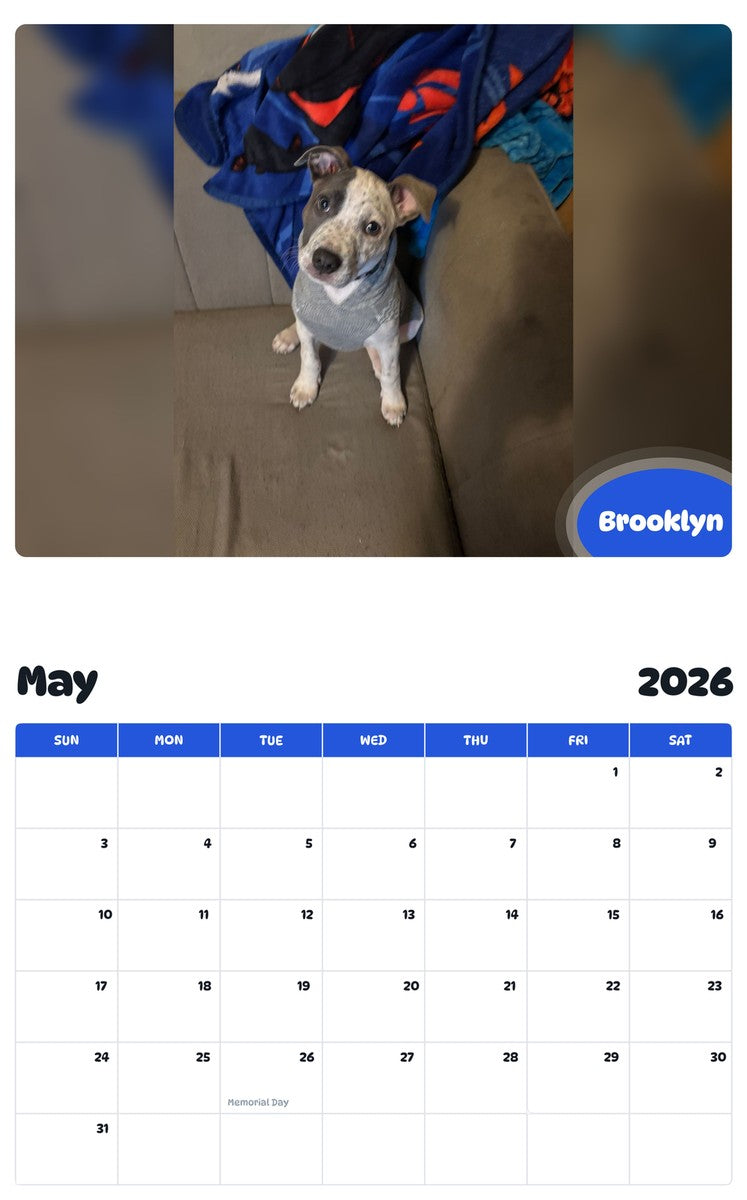 2026 - 2027 Brooklyn - Pawidols Pet Calendar