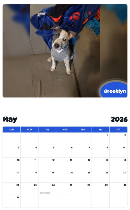2026 - 2027 Brooklyn - Pawidols Pet Calendar