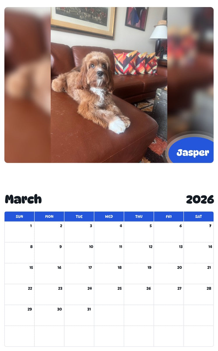 November 2025 - October 2026 Jasper - Pawidols Pet Calendar