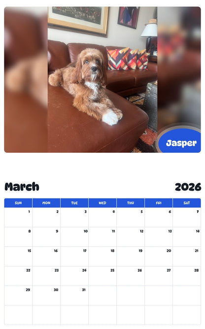 November 2025 - October 2026 Jasper - Pawidols Pet Calendar