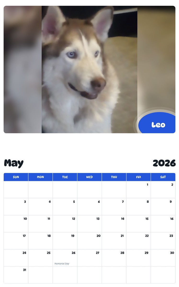 2026 - 2027 Leo - Pawidols Pet Calendar