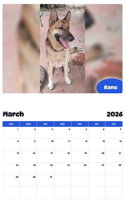 November 2025 - October 2026 Bane - Pawidols Pet Calendar