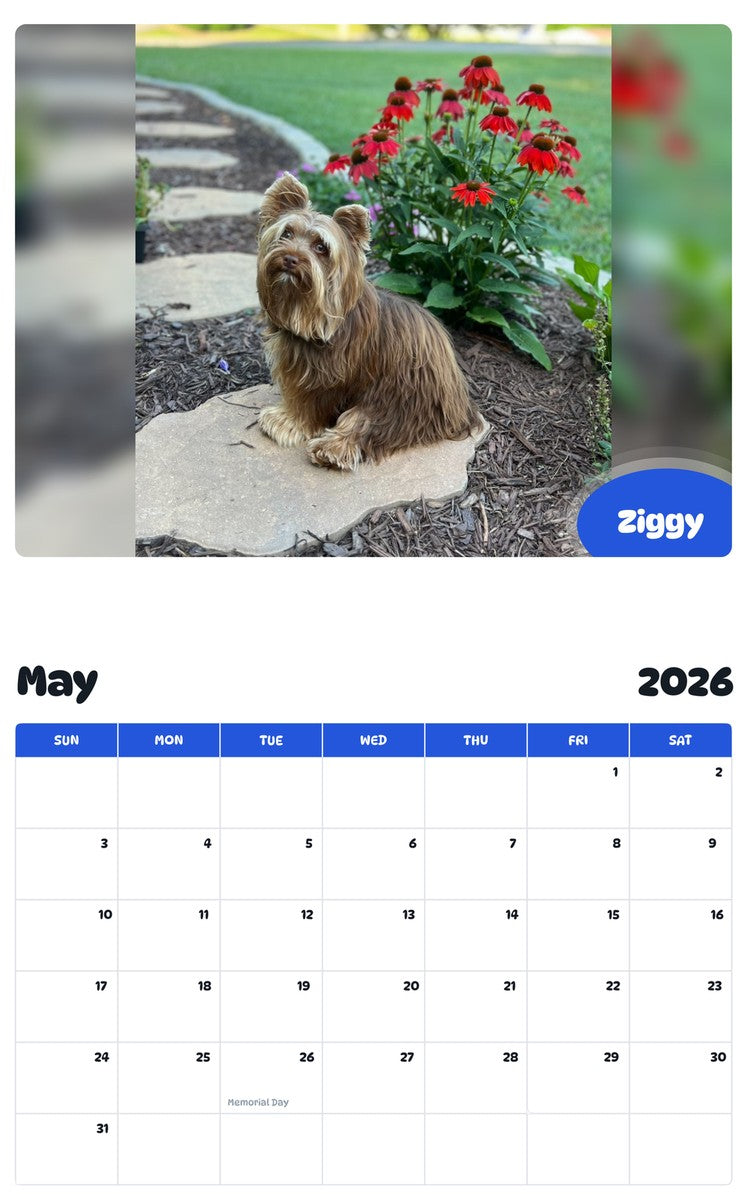 2026 - 2027 Ziggy - Pawidols Pet Calendar