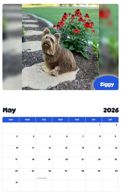 2026 - 2027 Ziggy - Pawidols Pet Calendar