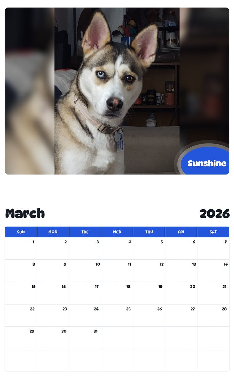 November 2025 - October 2026 Sunshine - Pawidols Pet Calendar