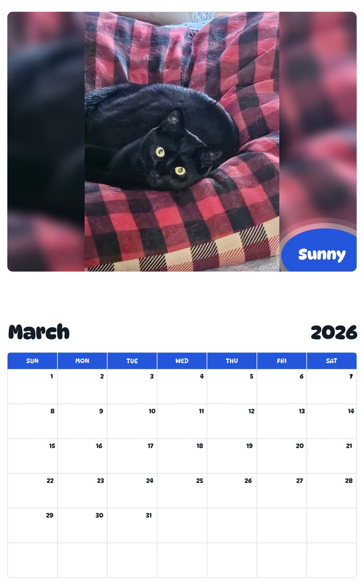 November 2025 - October 2026 Sunny - Pawidols Pet Calendar