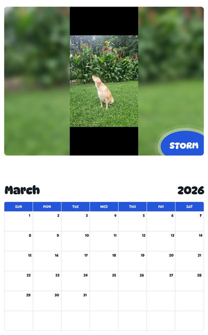 November 2025 - October 2026 STORM - Pawidols Pet Calendar