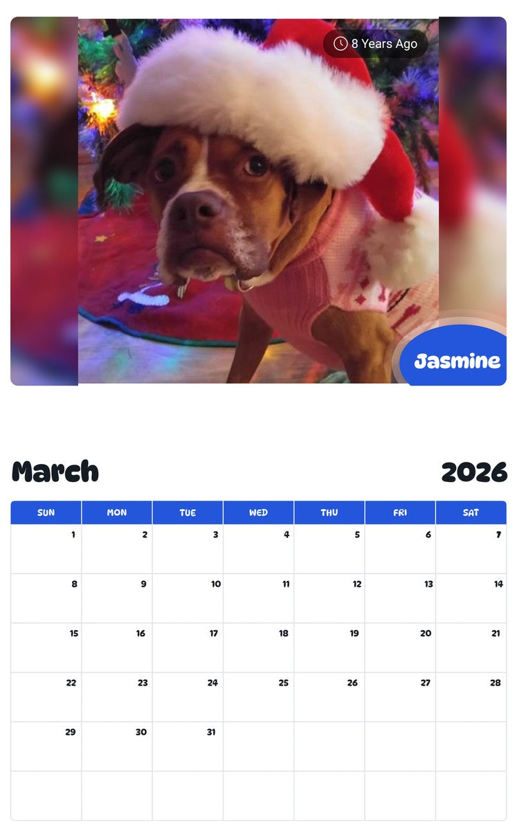 November 2025 - October 2026 Jasmine - Pawidols Pet Calendar