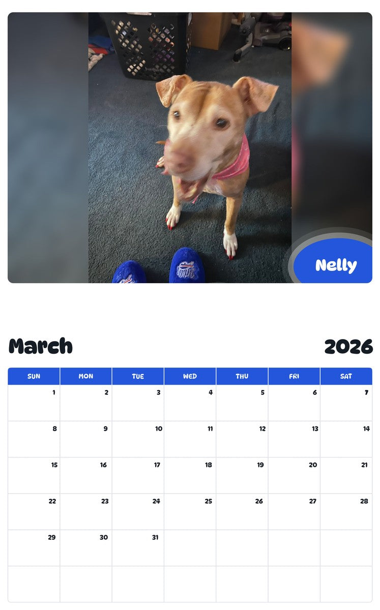 November 2025 - October 2026 Nelly - Pawidols Pet Calendar