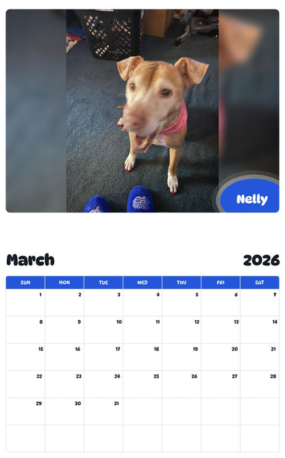 November 2025 - October 2026 Nelly - Pawidols Pet Calendar