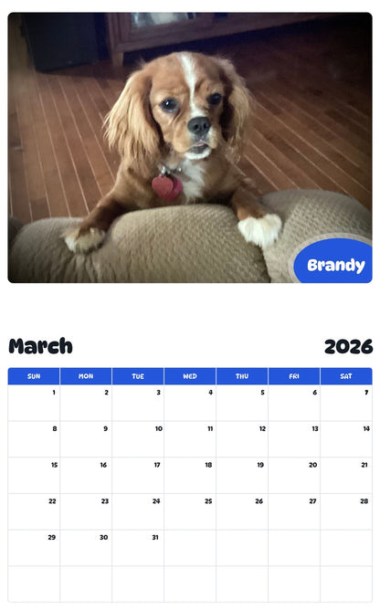 November 2025 - October 2026 Brandy - Pawidols Pet Calendar