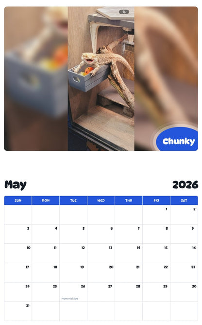 2026 - 2027 Chunky - Pawidols Pet Calendar