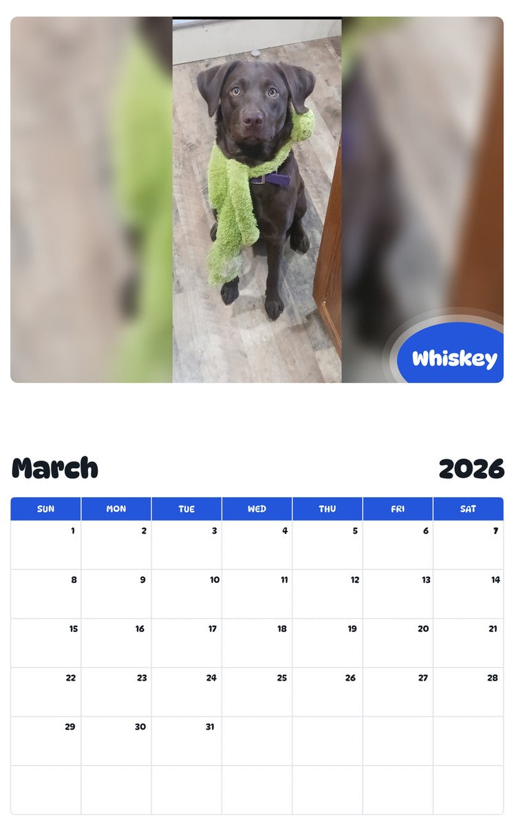 November 2025 - October 2026 Whiskey - Pawidols Pet Calendar