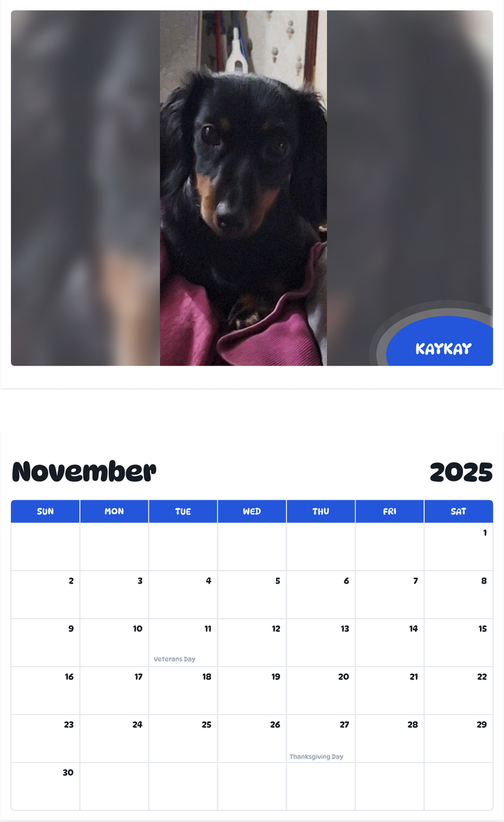 July 2025 - June 2026 KayKay - Pawidols Pet Calendar
