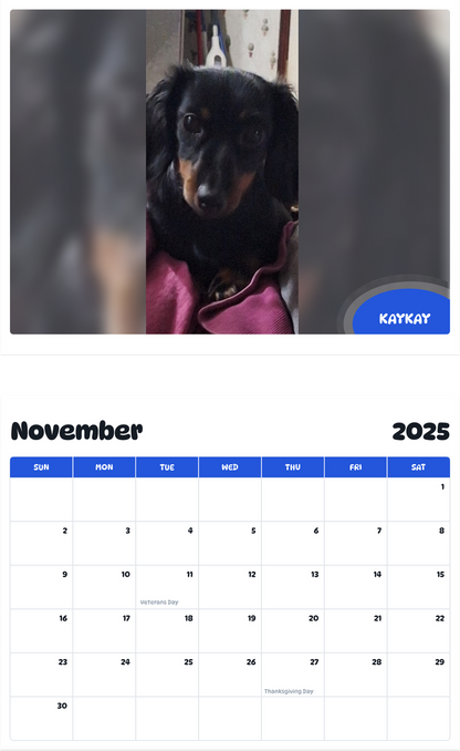 July 2025 - June 2026 KayKay - Pawidols Pet Calendar