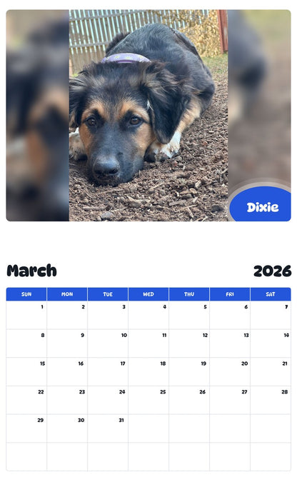 November 2025 - October 2026 Dixie - Pawidols Pet Calendar