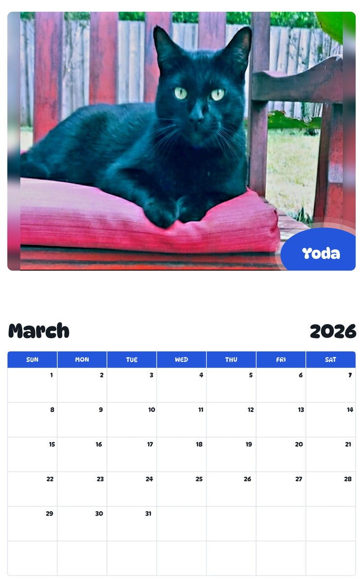 November 2025 - October 2026 Yoda - Pawidols Pet Calendar