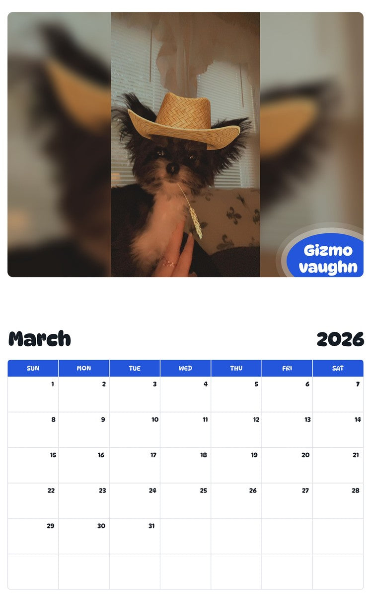 November 2025 - October 2026 Gizmo vaughn - Pawidols Pet Calendar