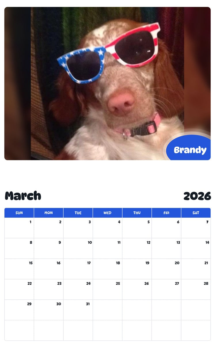 November 2025 - October 2026 Brandy - Pawidols Pet Calendar